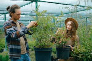 How to DIY a veggie planter from an old clothes rail 3